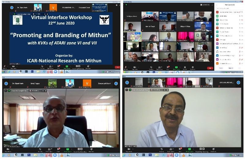 Participamnts attending the virtual interface workshop on ‘Promoting and Branding Mithun’ in collaboration with the Krishi Vigyan Kendras (KVKs) of the Agricultural Technology Application Research Institute (ATARI) of Zone VI and VII on June 22. (Photo Courtesy: ICAR-NRC on Mithun)